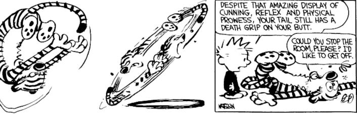 [IMAGE]